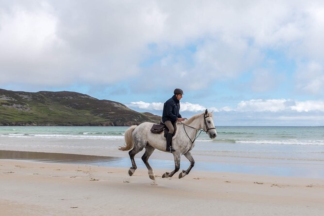 Beach & Countryside Horse Riding. Mayo. Guided. 1 Hour. - Additional Information