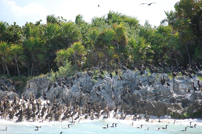 Beach Escape: Isla Contoy and Isla Mujeres With Snorkeling, Breakfast and Lunch - Customer Reviews and Safety