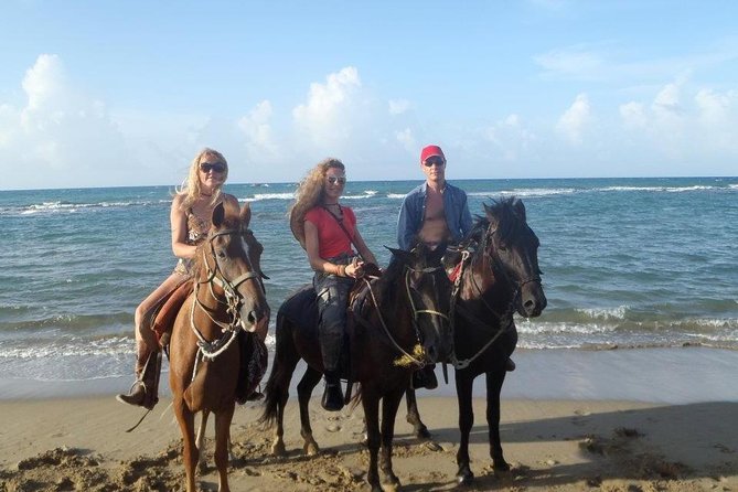 Beach Horseback Riding in Puerto Plata - What to Expect During the Experience