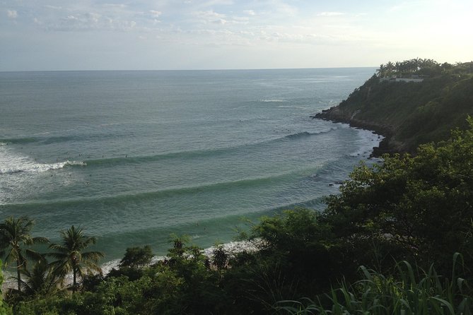 Beaches Dolphins And Viewpoints Discovering The Hidden Port By Sea And Land - The Sum Up