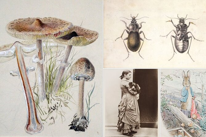 Beatrix Potter - Half Day - Up to 8 People - Booking Information for the Beatrix Potter Half Day Tour