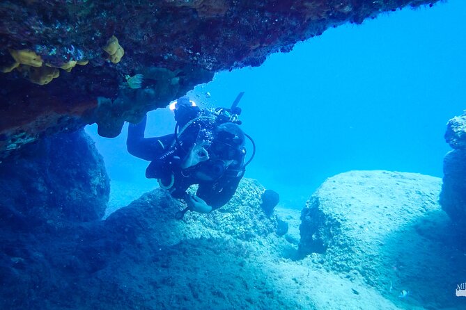 Beginner Diving Experience in Ligaria Bay - What To Expect
