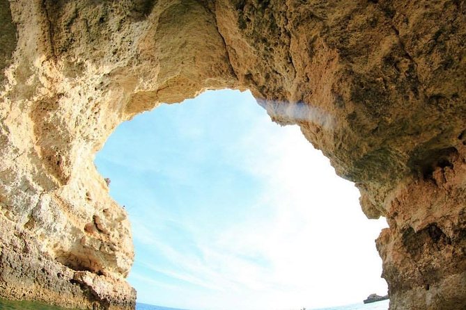 Benagil Caves Boat Cruise - Dolphin Sightings
