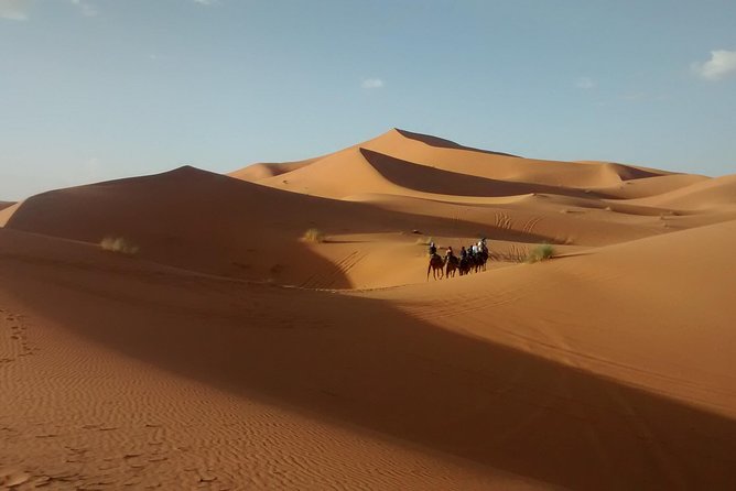 Best of Abu Dhabi Desert Safari Thrilling Quad Bike and 4W Dune Bashing - Thrilling ATV Driving Across the Dunes