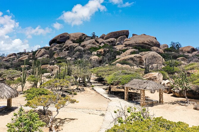 Best of Aruba by Bus - Restaurant Experience and Island Exploration