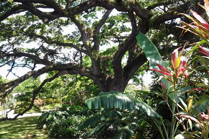 Best of St. Kitts Highlight Tour. - The Sum Up