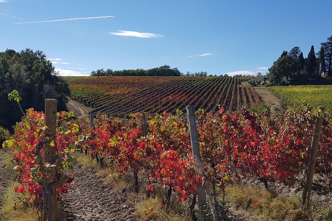 Bevagna E-Bike & Wine Tour - Additional Information