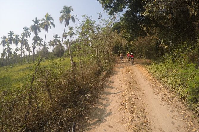 Bicycle Tour in Ixtapa - Traveler Photos