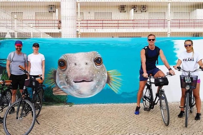 Bike Tour: Best of Vilamoura - Highlight: Spotting Tortoises