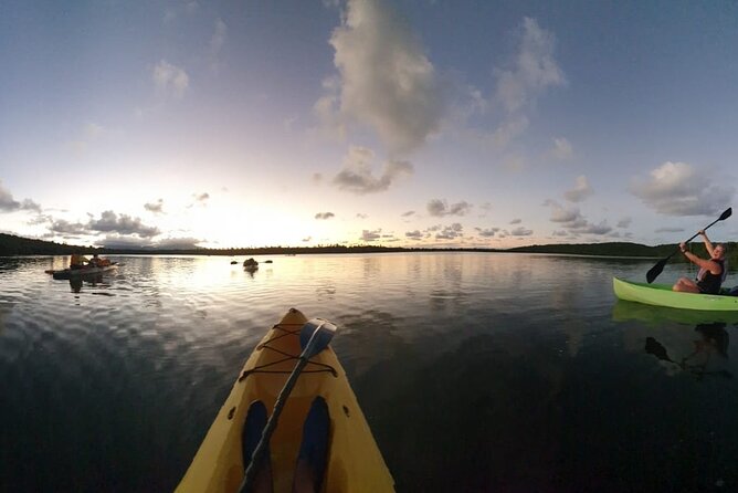 Bio Bay Night Kayaking Laguna Grande, Fajardo - Positive Experiences and Recommendations From Previous Visitors