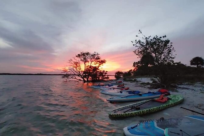 Bioluminescence Clear Kayak or Clear Paddleboard Adventure Tour - Cancellation Policy and Weather Conditions