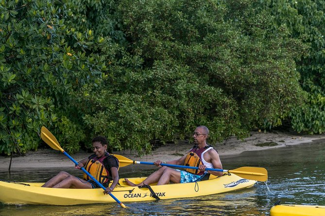 Bioluminescent Night Kayaking Pickup Point From San Juan - Paddle Through a Mangrove Forest