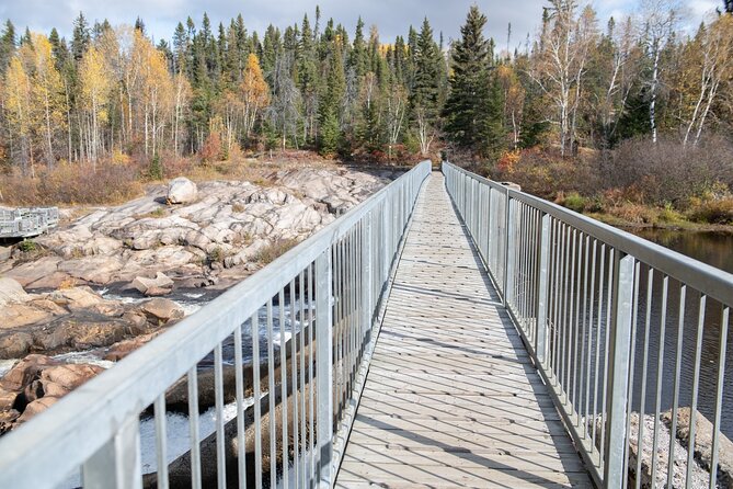 BLACK BEAR VIEWING AND WALKING AT OUTDOOR CTRS CANYON - Saguenay Guided Tours - Entrance Fee - Bec-Scie Center
