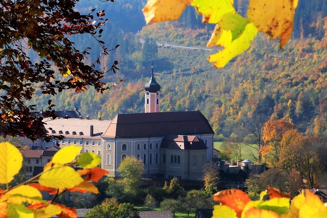 Black Forest Myths and Stories Walk Guided by a Local - The Sum Up