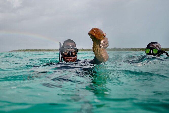Blue Hole Snorkeling, and Turtle Park - Customer Reviews and Experiences
