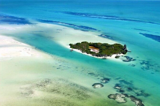 Boat Tour of Three Islands in Holbox With Transportation - Traveler Photos