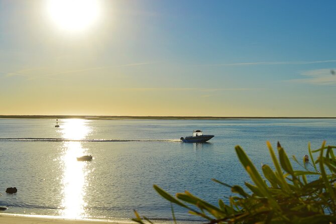 Boat Trip Through the Islands of Ria Formosa  - Faro - Directions
