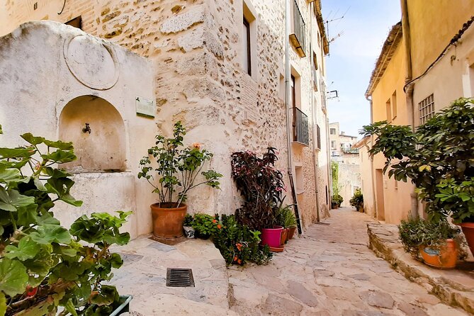 Bocairent Full Day Tour and Islamic Labyrinth From Alicante - Labyrinth Exploration
