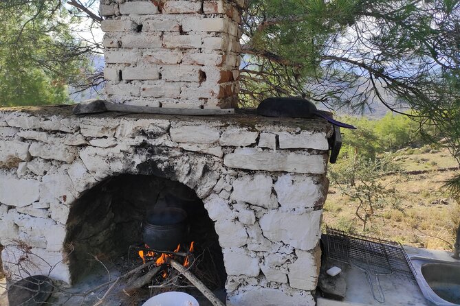 Bodrum Rustic Lunch and Olive Tasting Tour - Local Cultural Immersion