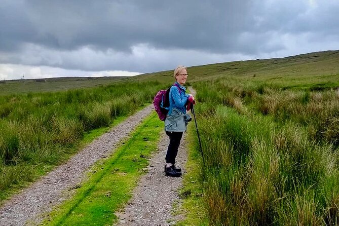 Bog Safari Hike - What To Expect