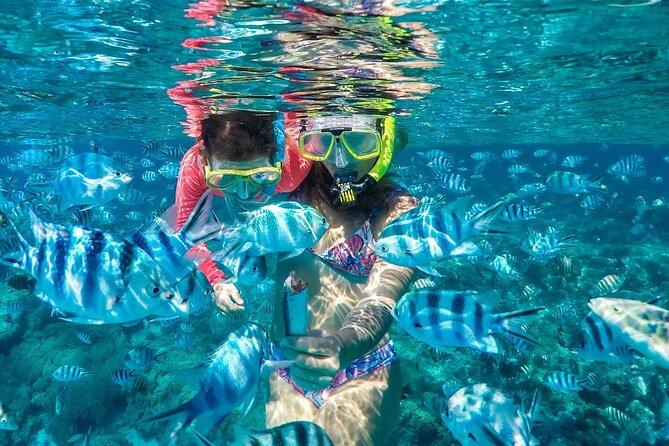 Bora Bora Lagoon Private Half-Day Scavenger Hunt for Kids - Meeting and Pickup