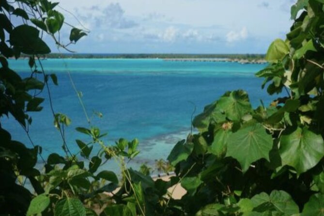 Bora Bora Off-Road Sightseeing Tour - Recommendations