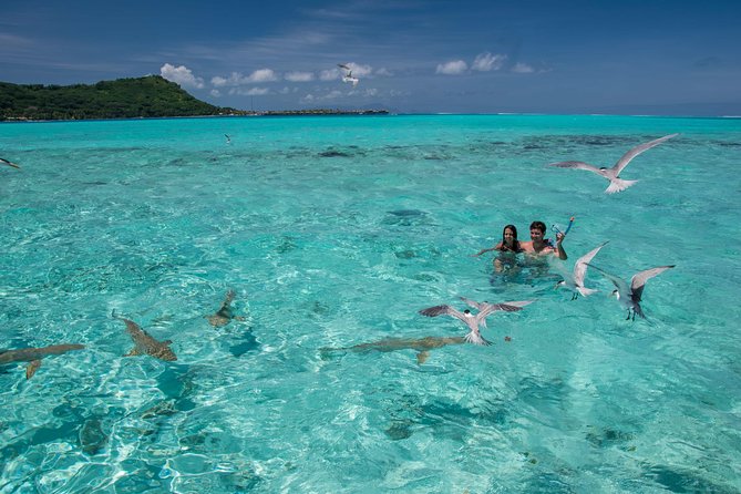 Bora Bora Private Boating Experience With Captain - Cancellation Policy and Refunds