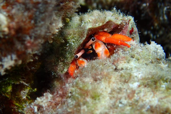 Bora Bora Private Full-Day Snorkeling Adventure - Cancellation Policy