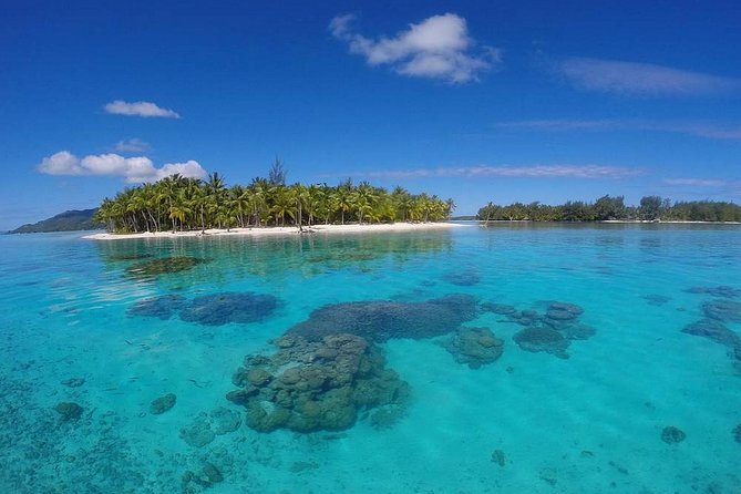 Bora Bora Private Lagoon Tours - Overview