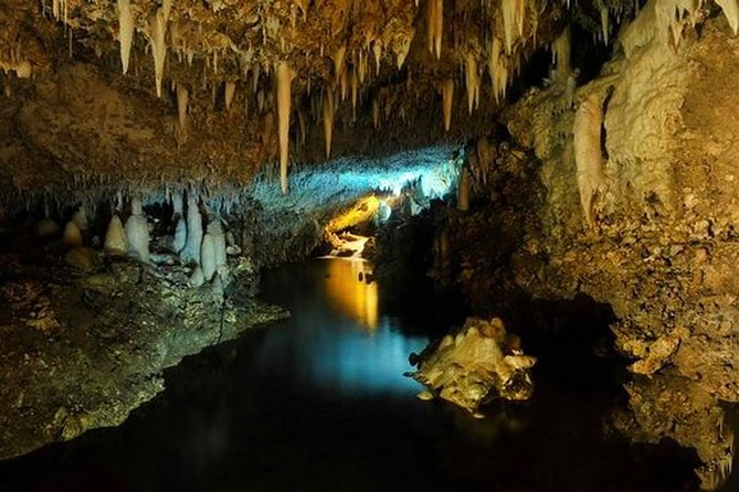 Breathtaking Wonders - Harrisons Cave and Huntes Gardens - Transportation and Tickets