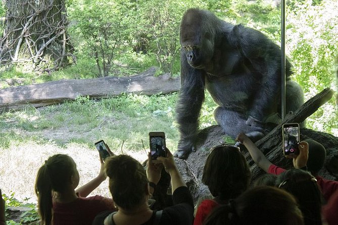 Bronx Zoo Admission Ticket - Overview of the Bronx Zoo