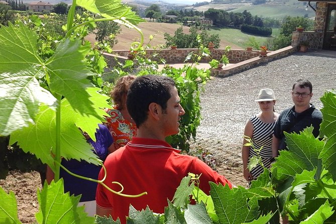 Brunello Vineyards Bus Tour - Cancellation Policy