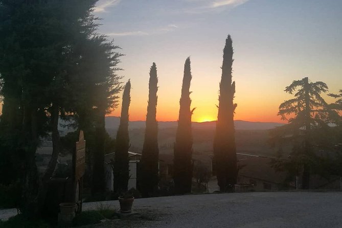 Brunello Wine Tour and Val DOrcia Landscape - Additional Information