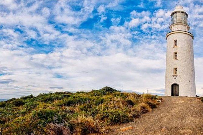 Bruny Island Day Tour Private Charter Service - Booking and Availability
