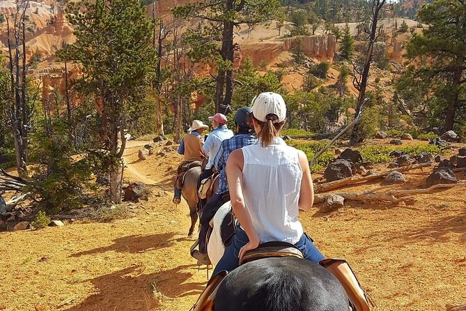 Bryce Canyon Area 4-Hour Small-Group Horseback Ride  - Bryce Canyon National Park - Directions