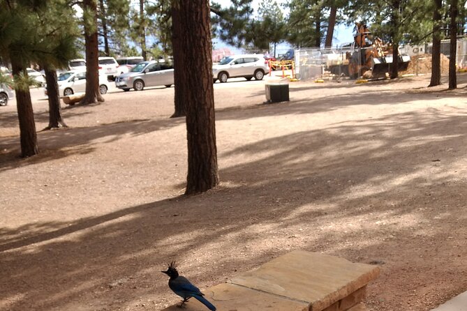 Bryce Canyon E-bike Tour - Meeting and Pickup