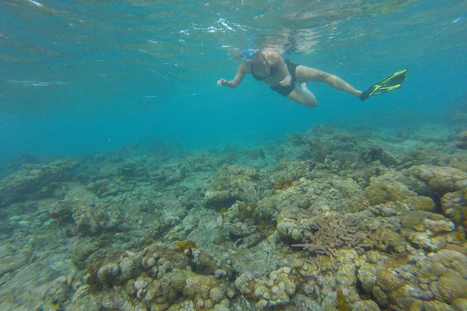 Buccoo Reef and Nylon Pool Adventure - Traveler Photos