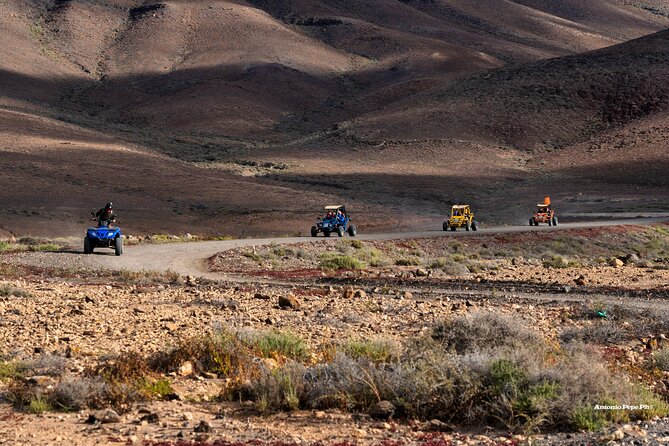 Buggy Safari in Caleta De Fuste - Reviews and Ratings