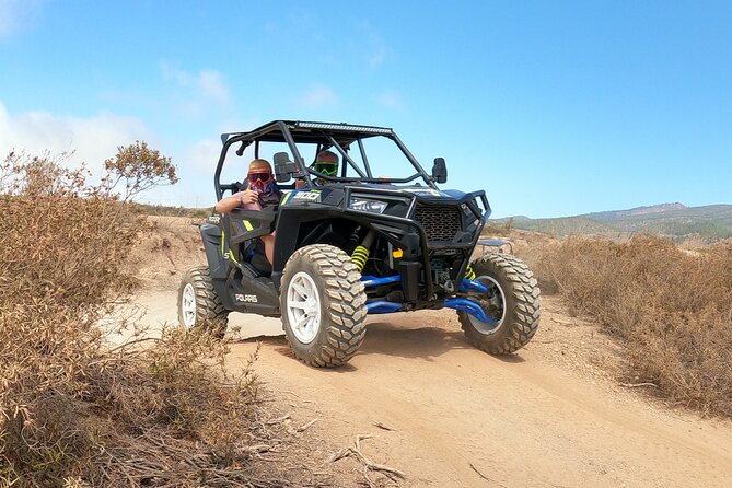 Buggy Tour Volcano TEIDE With Wine Degustation at Canarian Winery - Wine Tasting at Canarian Winery