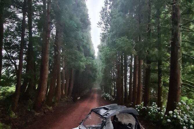 BUGGY TOUR - West / Center of the Island (Off-Road) - Reviews