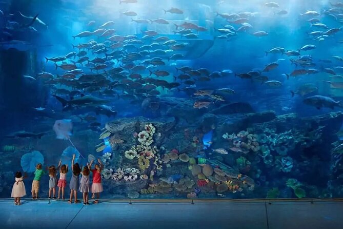 Burj Khalifa at the Top and Underwater Zoo Tour With Transfer - Itinerary Details