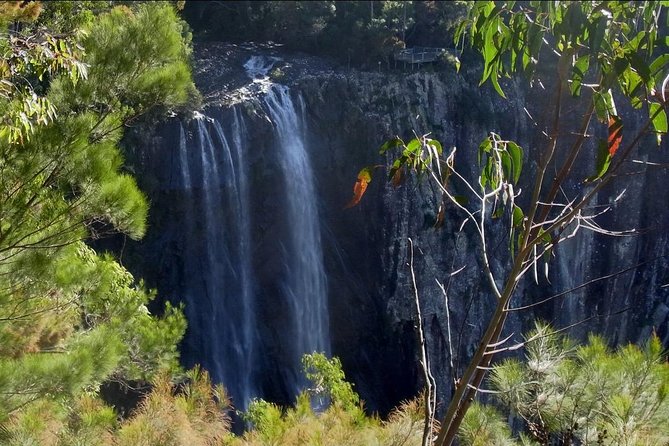 Byron Bay Hinterland Tour Including Rainforest Walk to Minyon Falls - Tour Logistics