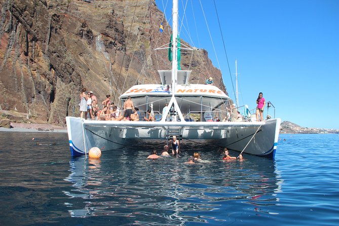 Cabo Girão SkywalkVineyardsWine Tasting in 4x4 Tour Dolphin Watching - Dolphin Watching Boat Tour