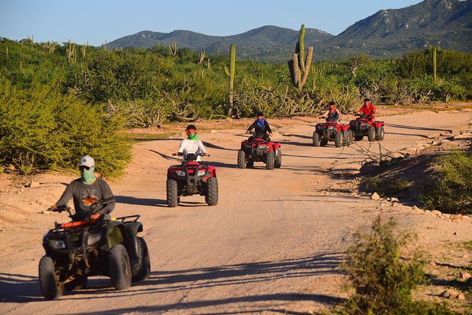Cabo Migrino Beach & Desert ATV Tour and Tequila Tasting - Common Questions