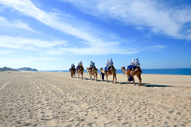 Cabo San Lucas Baja Desert Camel Ride - Contact the Organizer for Pick-up