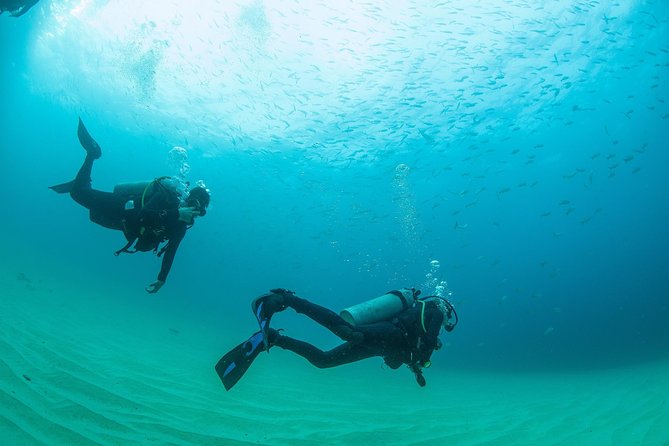 Cabo San Lucas Beginner Scuba Diving Experience - Traveler Reviews and Ratings