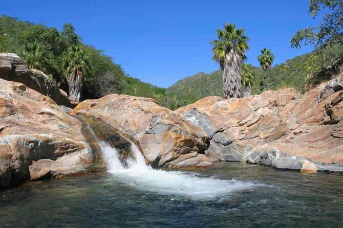 Cabo San Lucas Full-Day Private Driver Hire  - La Paz - Assistance Available Through Viator Help Center