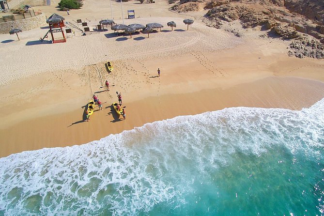 Cabo San Lucas Glass Bottom Kayak Tour and Snorkel at Two Bays - Customer Reviews and Guides