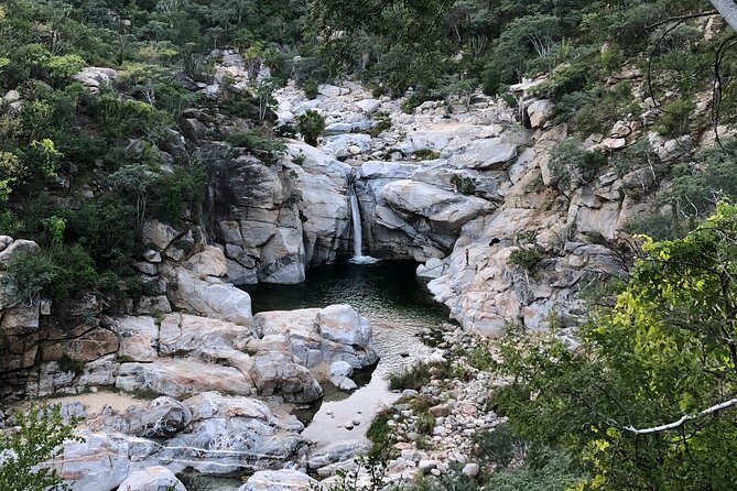 Cabo San Lucas Private Hidden Waterfall Hike - Tour Highlights