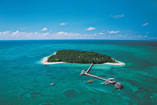 Cairns 4WD Rainforest Waterfall Tour Including a GBR Island Tour - Questions and Help